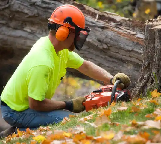 tree services North Eastham